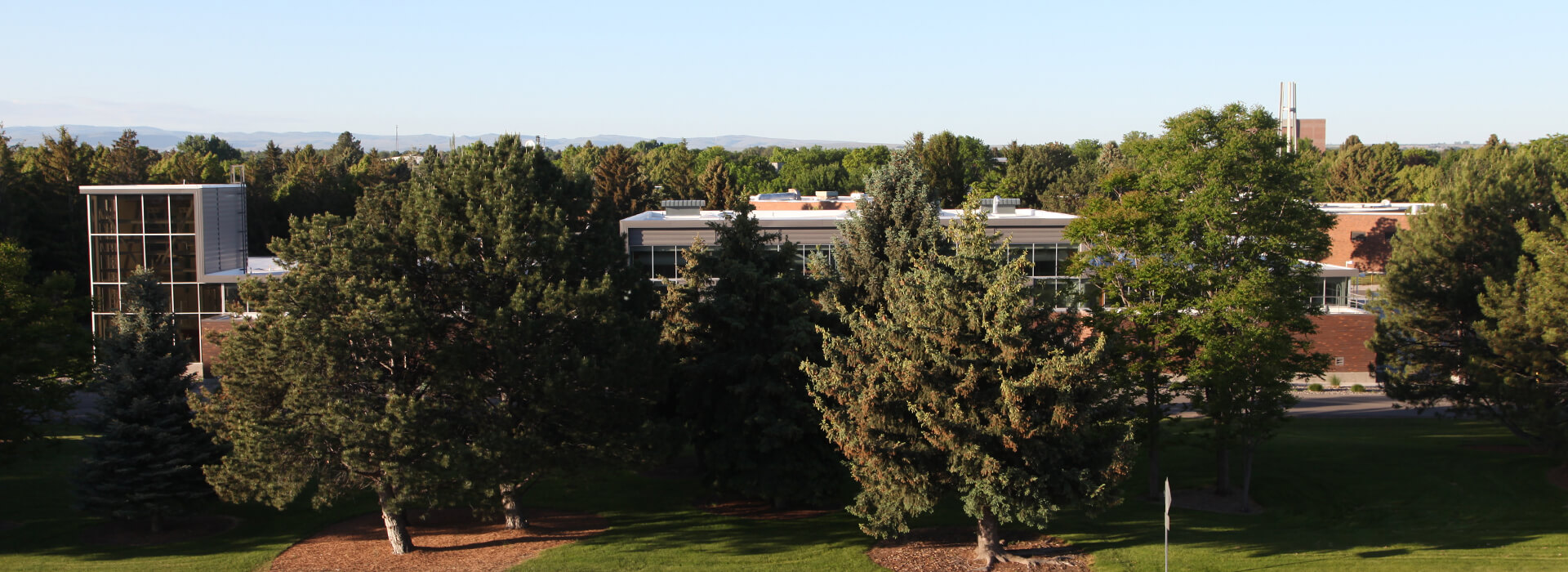 playtime gcash withdrawal